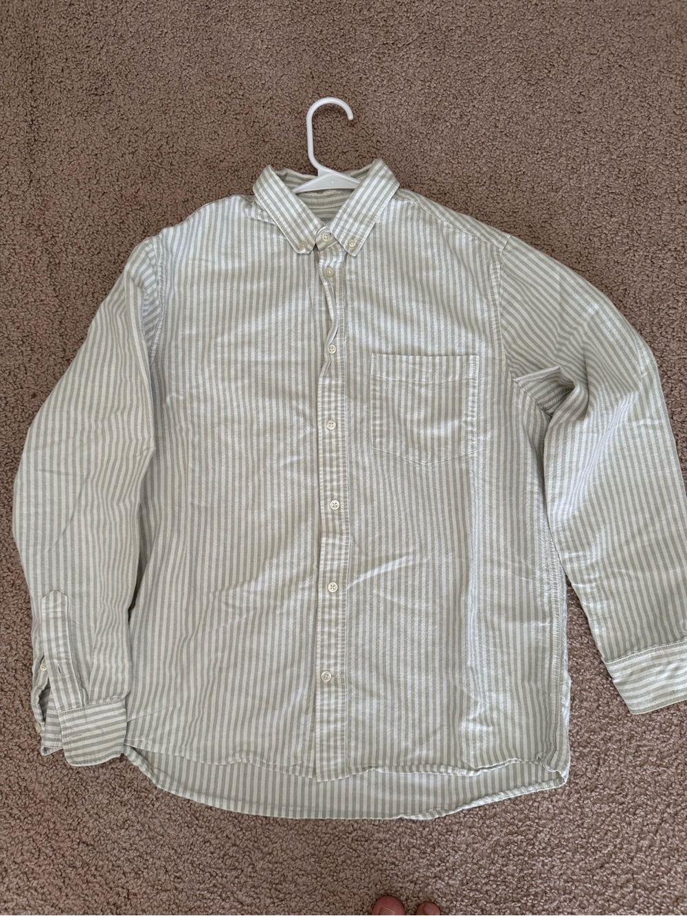 Men's Button-Down Stripe Shirt in Light Green and White